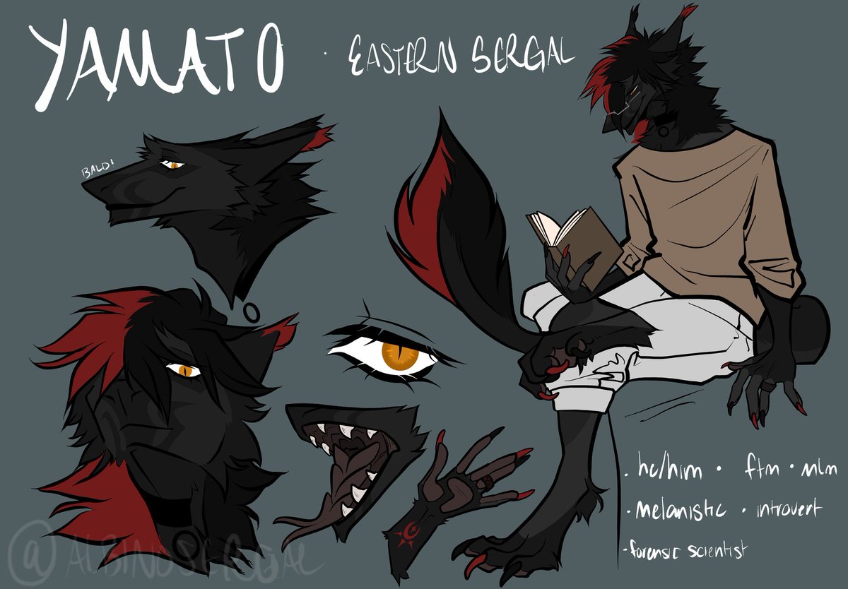 yamato_sergal's tweet photo. Yamato's old ref so y'all can see how much he's grown in around 2 years. He's literally an amazing sona and I'm glad he's me. Hubby @albinosergal did amazing with both refs, he really has a way of capturing what's needed https://t.co/A64ZS3cHAu