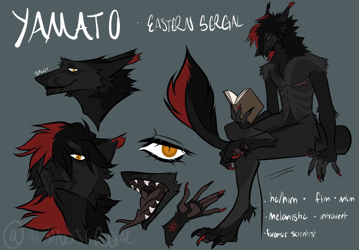 yamato_sergal's tweet photo. Yamato's old ref so y'all can see how much he's grown in around 2 years. He's literally an amazing sona and I'm glad he's me. Hubby @albinosergal did amazing with both refs, he really has a way of capturing what's needed https://t.co/A64ZS3cHAu