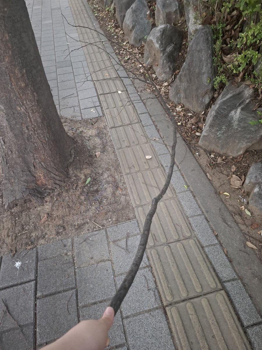 rui2652's tweet photo. 개큰나뭇가지 주움 https://t.co/fDGi0ngF9Z