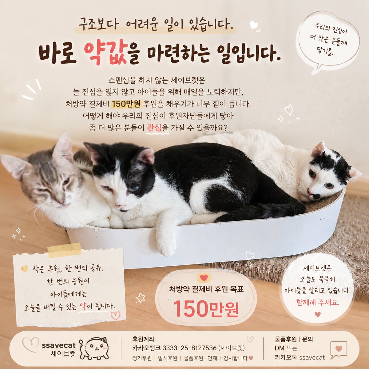 ssavecat_'s tweet photo. 구조보다 어려운 일이 있습니다
우리에게 남은 환묘들의 약값을 처방식을 유동식을 마련하는 일입니다 유기묘와 길고양이를 살려도 치료를 이어갈 약이 없으면 구조는 끝까지 이어질 수 없습니다

세이브캣은 쇼맨십을 잘하는 구조단체가 아닙니다
극적인 연출보다 아이들 곁을 지키는 시간을 선택했고
화려한 홍보보다 병원과 보호소를 오가며 하루를 보냈습니다
하지만 현실은 너무 냉정합니다

매일 최선을 다하고 있지만 처방약 결제비 150만 원을 마련하는 일이 버겁습니다 가끔은 생각합니다
우리가 조금 더 보여주기를 잘했다면 달라졌을까?
조금 더 자극적으로 보여드리고 이야기로 풀어냈다면 더 많은 관심을 받을 수 있었을까?

그래도 세이브캣은 진심을 포기하고 싶지 않습니다.
정직하게 구조하고
정직하게 치료하고
정직하게 후원금을 사용하며 여기까지 왔습니다

이 글을 읽고계신 후원자분들에게 저희의 진심이 조금이라도 전해졌으면 좋겠습니다 후원은 금액의 크기가 아니라 함께해 주시는 마음이 큰 힘이 됩니다

단 한 번의 후원 한 번의 공유 한 번의 응원이 세이브캣구조묘들애게는  오늘을 그리고 내일을 살아갈 힘이되고 기회가 됩니다
오늘도 세이브캣은 저희의 최선을 다해 환묘들을 돌보고 있습니다
함께해 주세요

#ssavecat