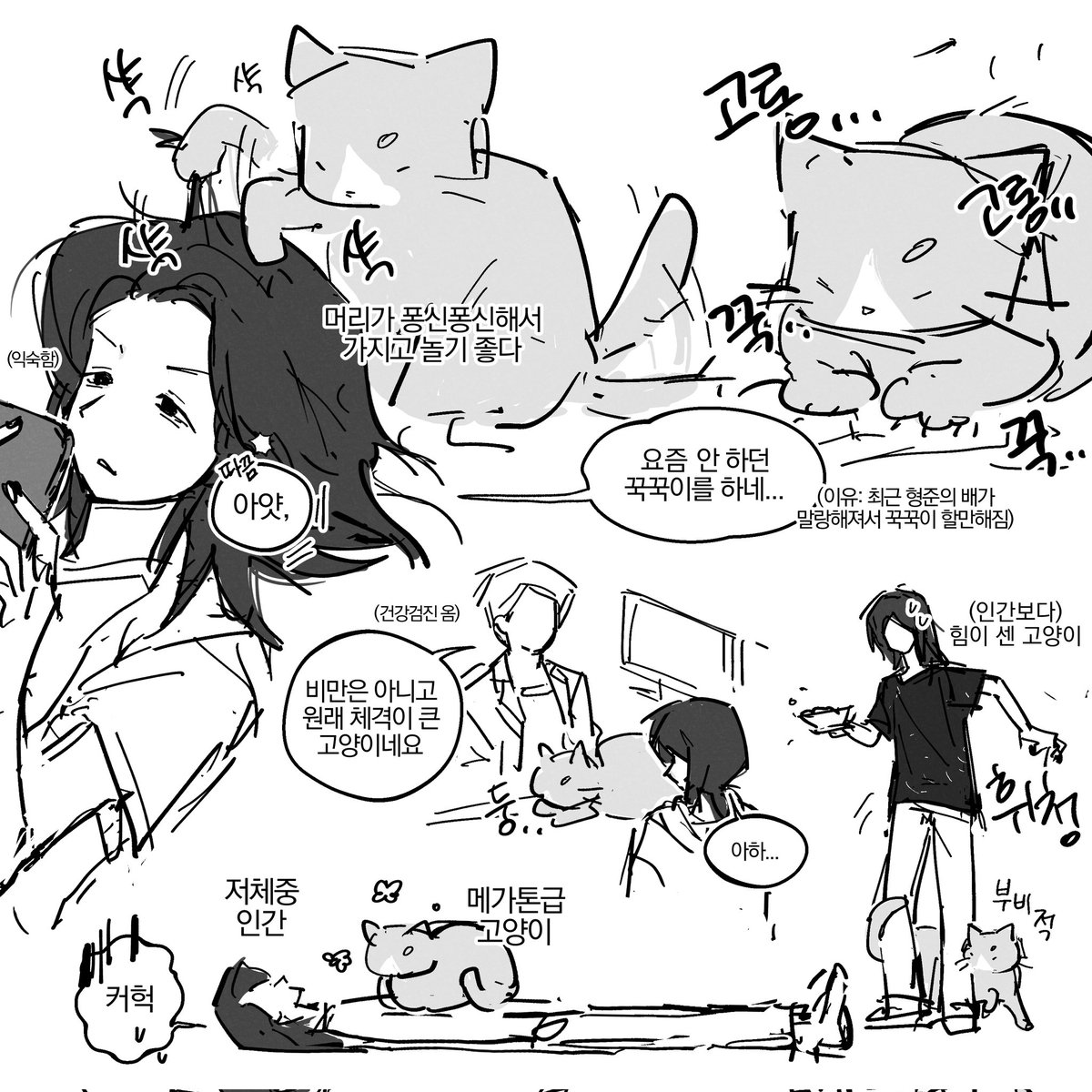 dya__ayd's tweet photo. 뎡냥이 https://t.co/v7gIHcnZY9