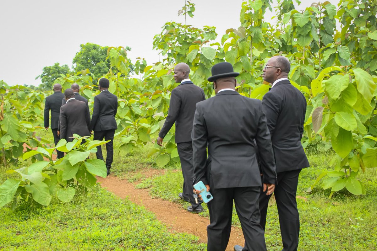 KLOMOfficial's tweet photo. 🌳As part of our commitment to environmental stewardship inspired by #LaudatoSi, our #MAREDES afforestation project has planted 37K trees in Saboba. 
During an inspection on 12 July, SK Sir Kt. Bro. Kudzedzi commended the team as they push toward the goal of 50K trees by Nov. https://t.co/eYSCNE1ez6