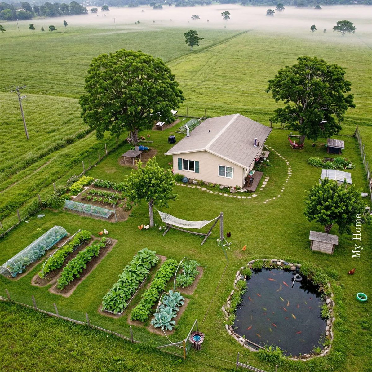 Dearme2_'s tweet photo. The goal is Neverrrrrrrrrr Gucci bags. The goal is acres of land. https://t.co/Vwg46YWfq3