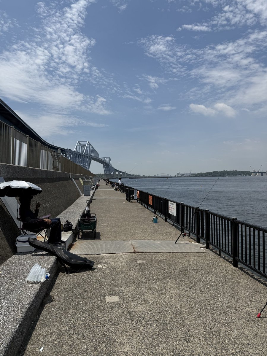 sawa_zen's tweet photo. 今日はお休みもらったので一人で釣りをしてみましたが何も釣れませんでした。 https://t.co/wGEZsAruSl