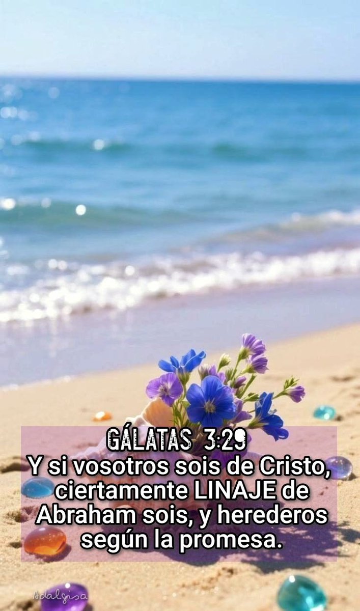 millopena's tweet photo. 💌 Martes,
Julio14, 2026
Dᵢₒₛ ₜₑ bₑₙdᵢgₐ
Salmos 112:2
  "Su DESCENDENCIA será poderosa en la tierra; la generación de los rectos será bendita." 💌 https://t.co/gN0dB4DSmA