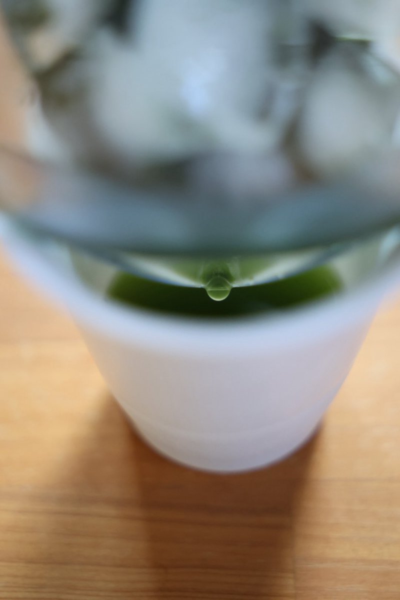 m_sakaiseicha's tweet photo. 昨日に引き続き、灼熱の仕上げ後の炭酸がいいです‼︎
ライム🍋‍🟩とミント🌱入

そしてチャスタにぴったりな茶海がよきです✨ https://t.co/7Hlfv5t2zF