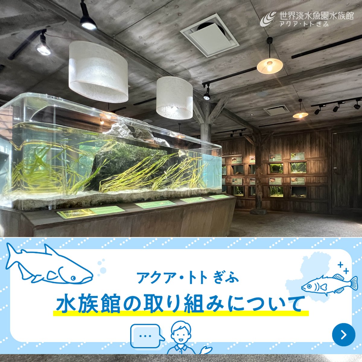 世界淡水魚園水族館 アクア・トト ぎふ tweet media