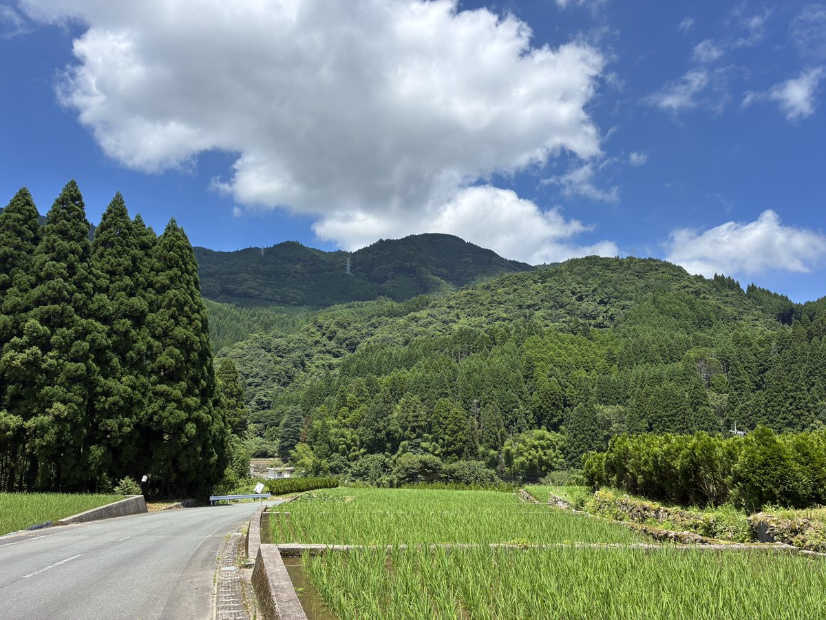 ICCHY8591's tweet photo. 福岡県八女市星野村の景色がヤバい。
iPhone撮影の無加工でこれ。
残すべき日本の景色がここにはあった。 https://t.co/RD2cCyzppN