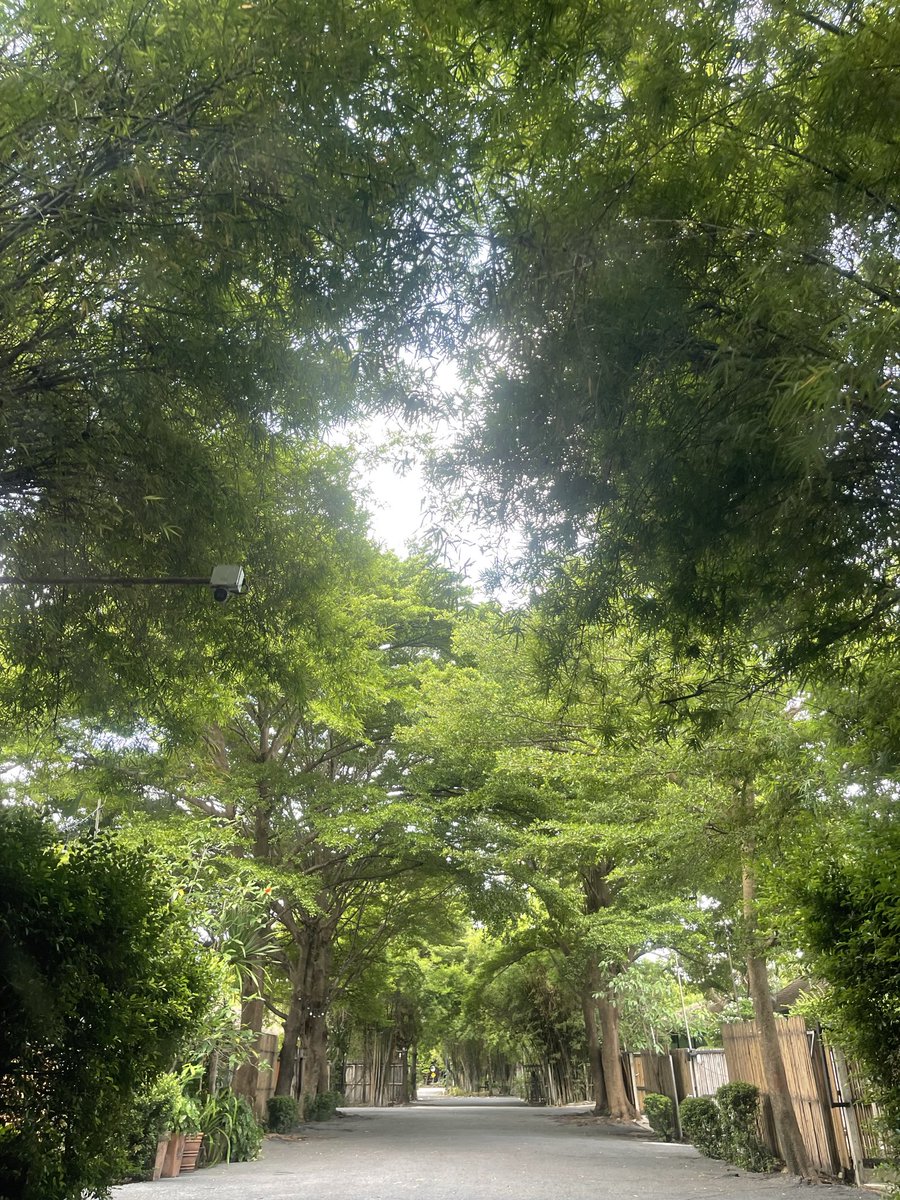 veja2025's tweet photo. วันนี้มาเยือนป่าหน่อยค่�� https://t.co/xNTJXOO1yE