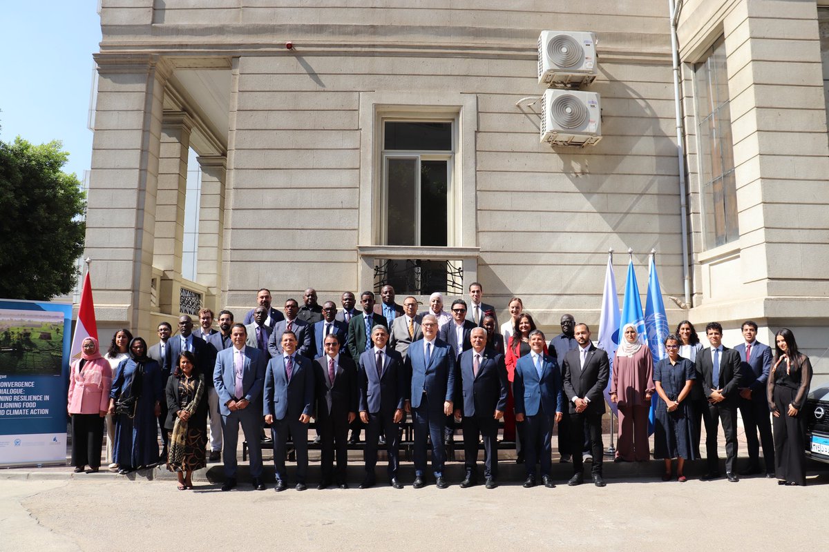 🌐Cairo International Center for Peace (CCCPA) tweet media