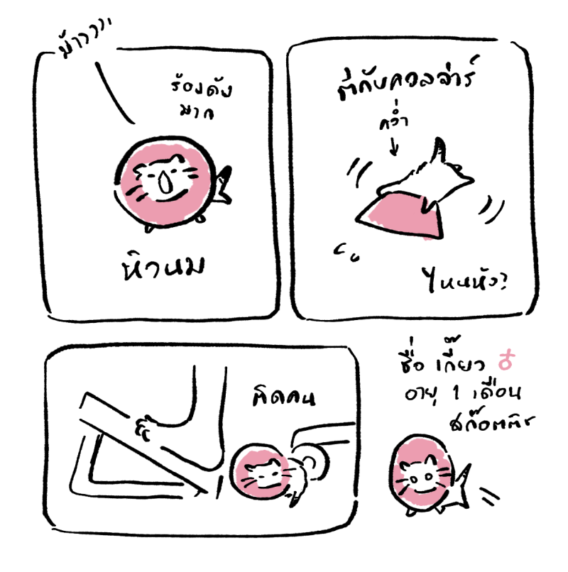 ✧ꜰʏɴɴʏx✧ cms open tweet media