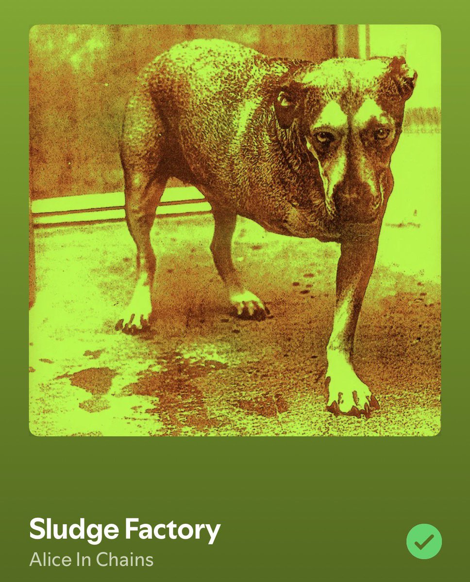 trcvorphilips's tweet photo. @mr_rasberry_jam OUGHH THIS IS HARD.... i can't seem to pick One favorite but here are the songs i really like rn https://t.co/Bs8NzrtowY