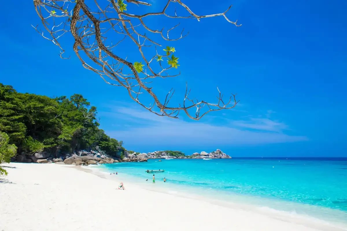 phukettravel25's tweet photo. 🌴 Similan Islands Promotion 2026 🌴

💙 From only 2,900 THB per person
💰 Save 600 THB
📅 Book until 30 September 2026

🏝️ White sandy beaches
🐠 Incredible snorkeling
🚐 Departures from Phuket, Khao Lak & Krabi

👉 https://t.co/ehUjazdEzz

#SimilanIslands #Phuket #KhaoLak #Krabi #Thailand #TravelDeals