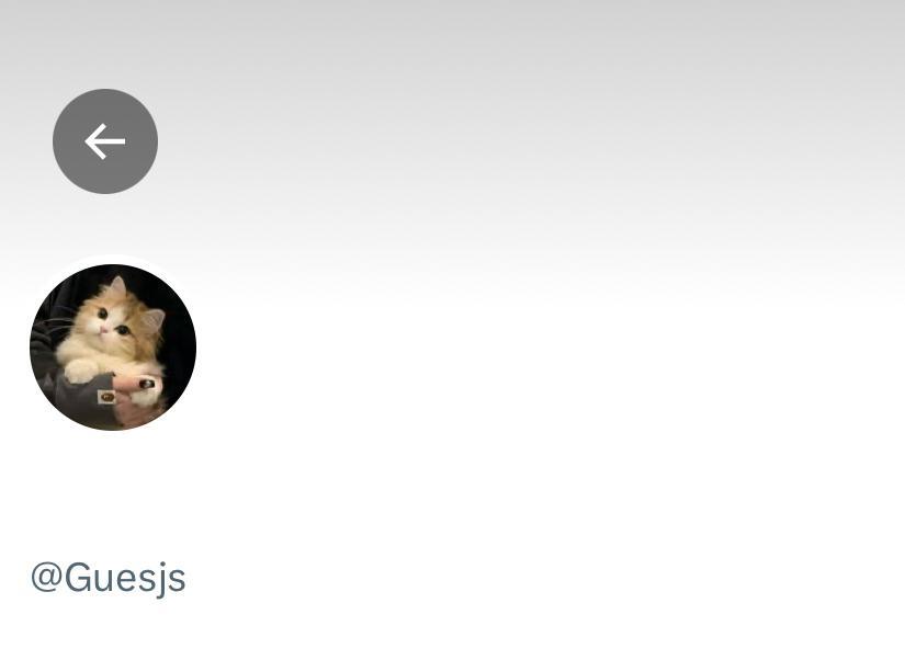 po-ti! ☆ tweet media