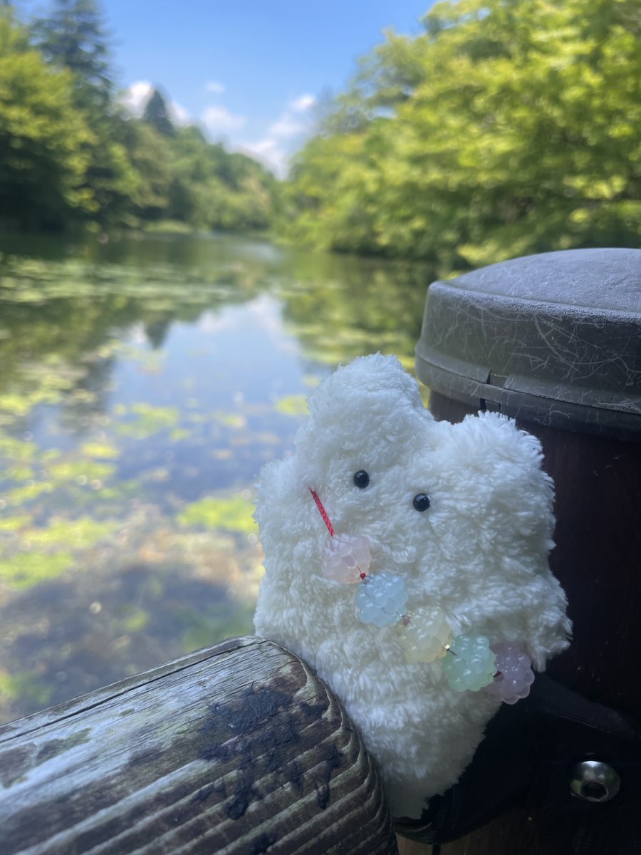 cocorety41's tweet photo. モカラだよ。
池のそばでぼーっとしていたよ。
何もしない時間にも、
ちゃんと意味があるんだって。
心が静かになるまで、
ゆっくりでいいよ。
モカラもここで、
みんなの心が
少し軽くなりますようにって
願っていたんだよ。 https://t.co/Mv0kiSFwIR