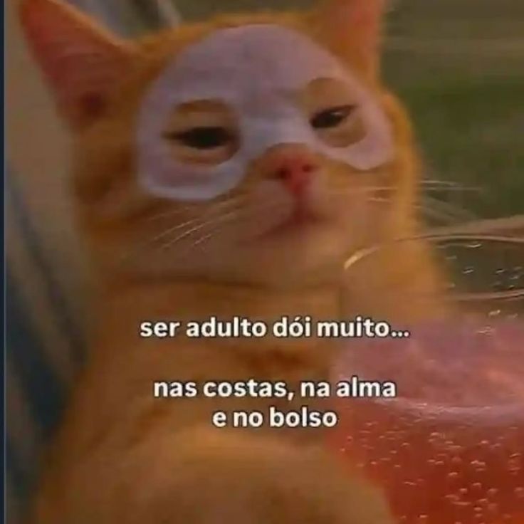 thaysilvarf's tweet photo. ser adulto é assim... https://t.co/8CxUQJVaor
