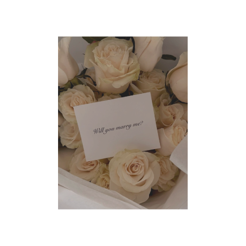 binedious's tweet photo. ⌕⠀@𝐛𝐢𝐧𝐞𝐝𝐢𝐨𝐮𝐬⠀: ⠀𝗽𝗵𝗼𝘁𝗼 𝘂𝗽𝗱𝗮𝘁𝗲. 🪽
harper said 'yes' 💒💍 @monostort https://t.co/hoKPqrNMiu