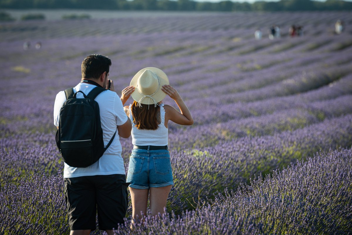 Efeagro's tweet photo. La lavanda en flor atrae a 150.000 turistas a Brihuega (Guadalajara)
https://t.co/ICRlwB8tFt https://t.co/UkGjssrv8T