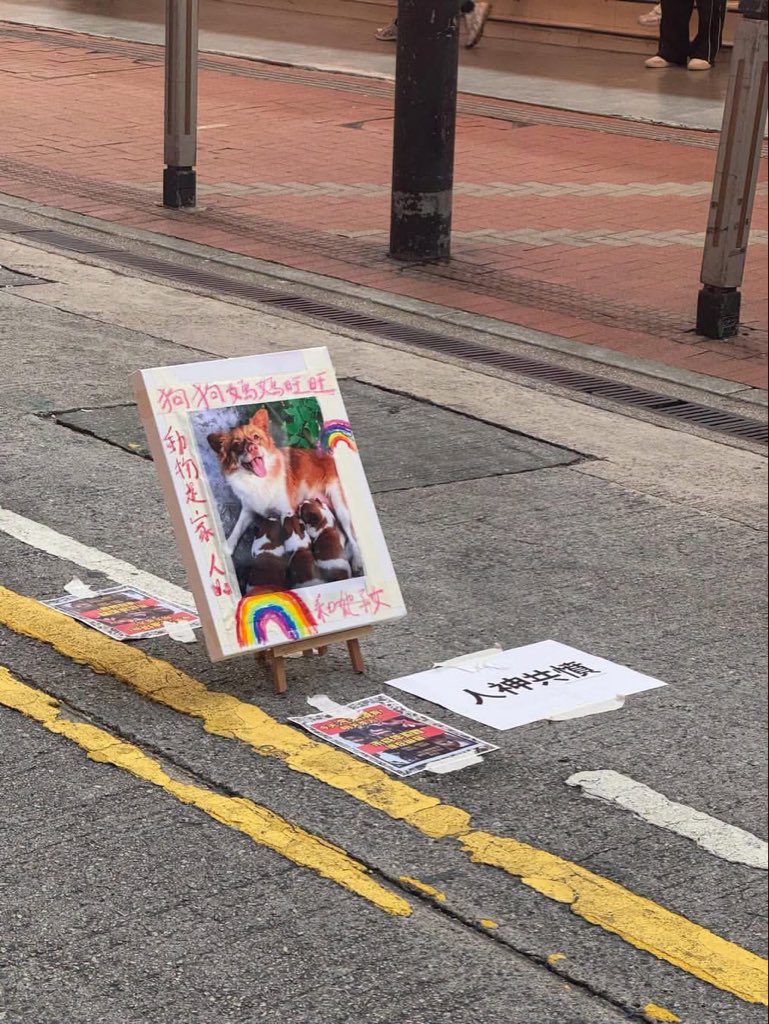 hk2019freehk's tweet photo. Hailey Cheng: 廣東揭陽狗媽媽「旺旺」及3隻幼犬，日前遭4名未滿14歲的少年以極其殘忍的方式活活虐殺，甚至遭火燒，令人不忍卒睹。

得知許多中國網民在小紅書、微博等平台為事件發聲、呼籲追究責任，卻陸續遭到下架，因此我希望在這裡替他們留下這個聲音，讓更多人知道這起事件。

每一條生命都值得被溫柔對待，而不是成為殘忍取樂的對象。願「旺旺」和牠的孩子們安息，也願施虐者承擔應有的代價，願未來不再有任何動物經歷這樣的痛苦。