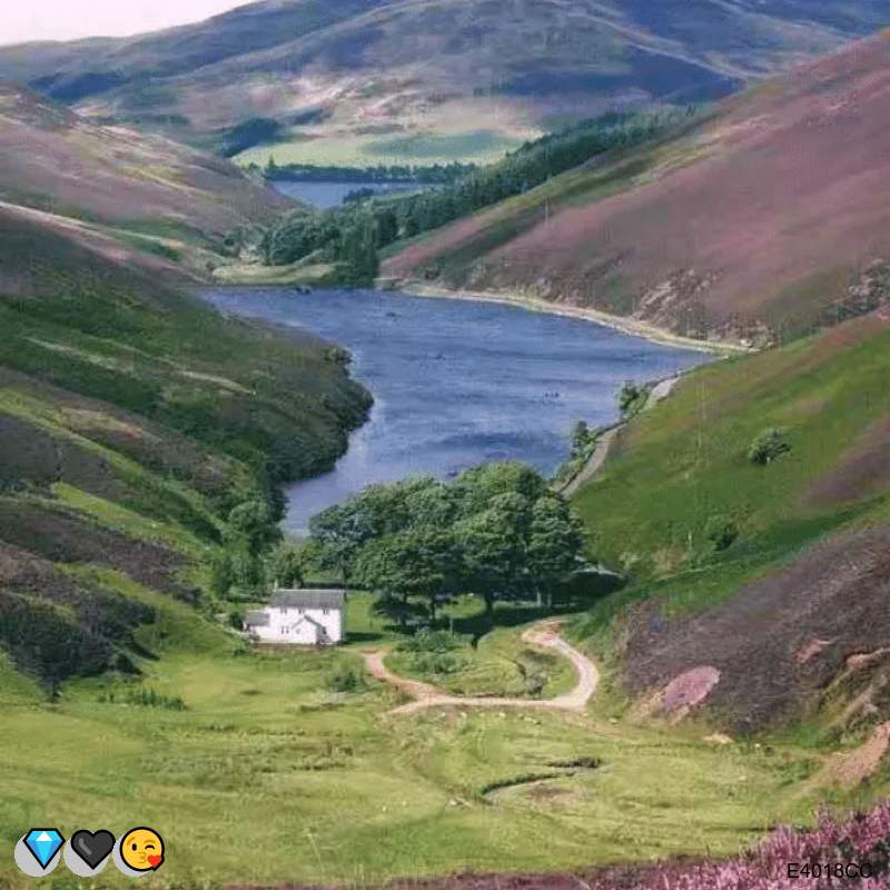 ClarisBonfield's tweet photo. 上海 杨浦😆 🤩 😋 🍀 黄浦
ifbeh6tWL
@annaclaireroach 按摩 https://t.co/hqrYDR4Nf6