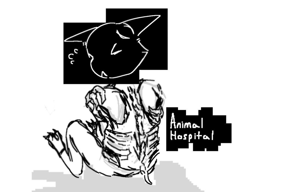 MothMilkHotline's tweet photo. What do i even say #animalhospital https://t.co/4Cd9zIWNwW