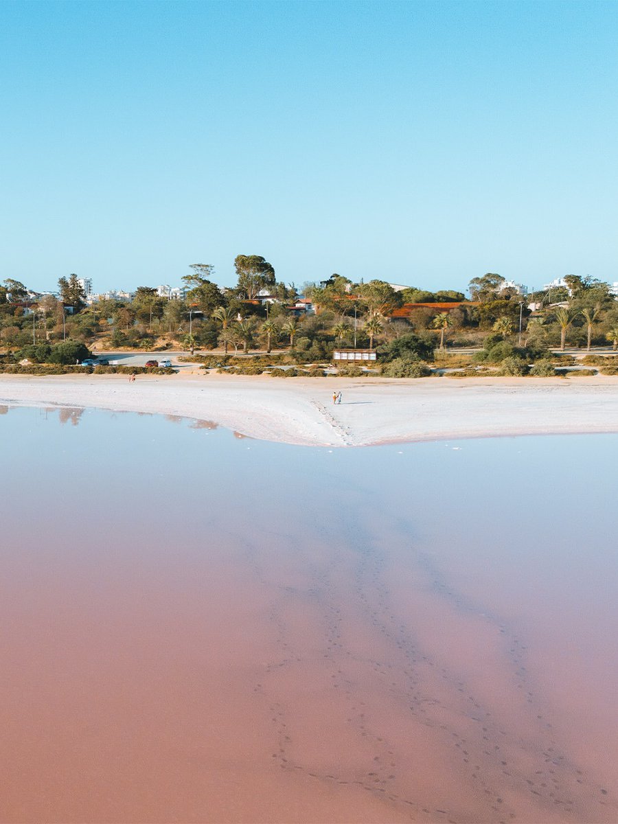 visitcyprus's tweet photo. On Tuesdays, we wear pink. 🌸😉

Larnaka Salt Lake gets a stunning summer makeover!

9x saltier than seawater due to evaporation, a bloom of Dunaliella Salina phytoplankton (rich in beta-carotene) paints the water a natural, vibrant pink. 🇨🇾 🩷 #Cyprus

📸 IG jubranelias https://t.co/6oqJEbmrwr