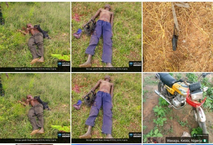 PATRIOTIC SOJA ($TSIR-MUNCHAN) tweet media