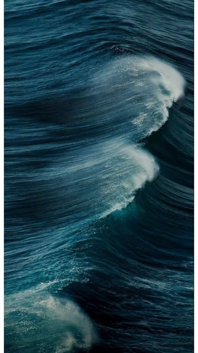 oceannvibe's tweet photo. https://t.co/94YIyLOFMs