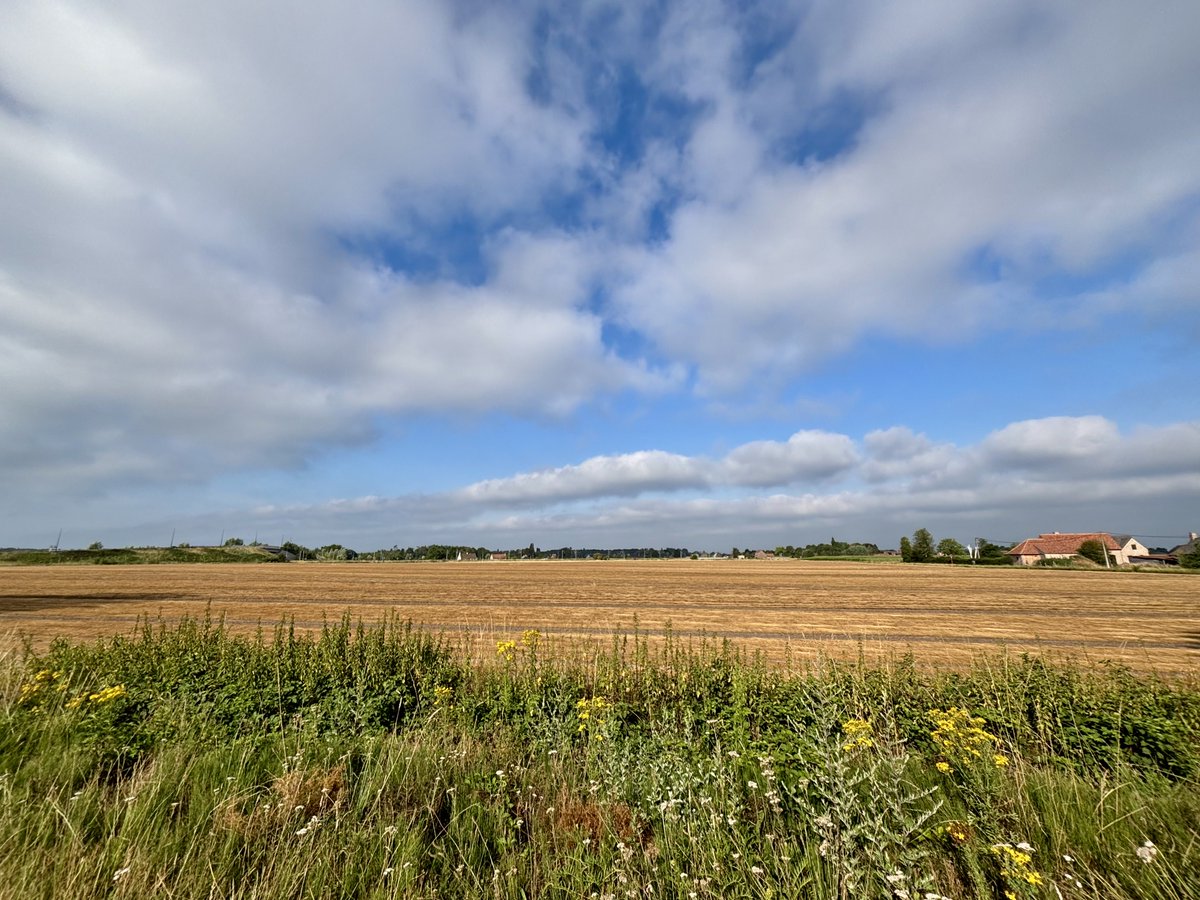 EddyMisman's tweet photo. #vrtweer Beernem 9u10 #interval #VO2max https://t.co/gm5TPf3wLi