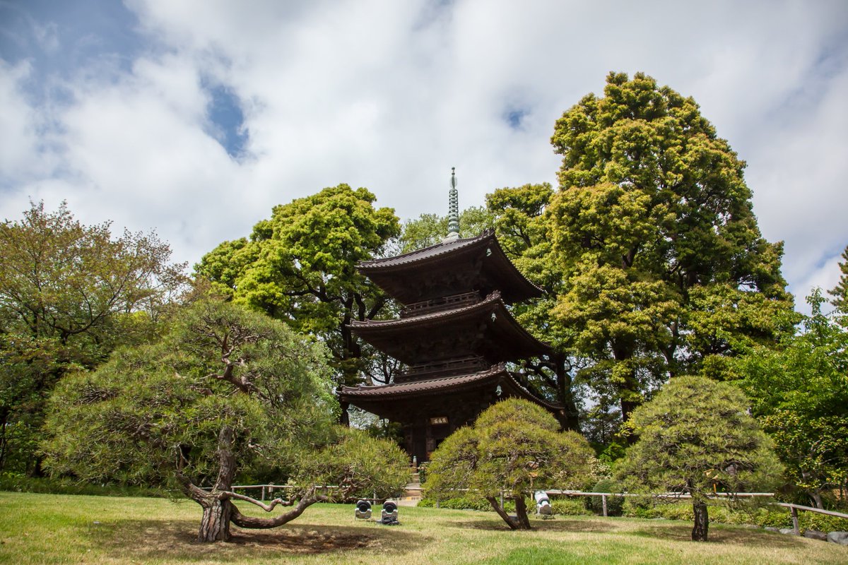 Hotel_Chinzanso's tweet photo. 知る・観る・歩く 文京区 特別編　庭師が教える苔玉づくり

文京区観光協会とホテル椿山荘東京のコラボレーション第3弾、「知る・観る・歩く 文京区」の”特別編”。

ホテル椿山荘東京の庭園を育む、専属の庭師による庭園講座と、盆栽風苔玉づくり体験をお楽しみください✨
#ホテル椿山荘東京 #文京区観光協会 #苔玉 #盆栽 #夏休み

詳細はこちら≫
https://t.co/nsTuQ8lA2A