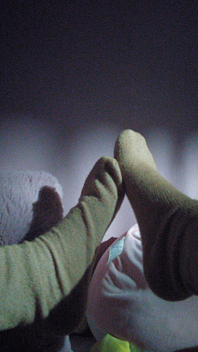 peachybummb's tweet photo. Sniff my socks all night, won't ya ? 👀 https://t.co/B2MpokEqqf