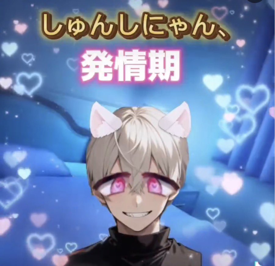 蓮状_mania tweet media