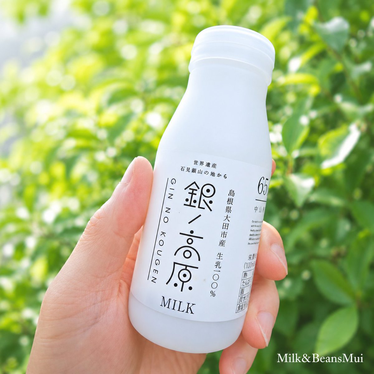 milk_beans_mui's tweet photo. 【復刻のお知らせ】

こんにちはMuiです。

お待たせしました😊
Mui本店の店舗限定ではありますが、
「銀ノ高原牛乳」 が復刻します。

中山農場さんの搾りたて生乳を、
65℃で30分間じっくり低温殺菌。

脂肪球を砕かないノンホモジナイズ製法で、
搾りたての風味やコクをできるだけそのまま残しました。

冷蔵庫で静かに置いていただくと、
上部には自然に濃厚なクリームが浮かびます。
それも、この牛乳ならではの楽しみのひとつです。

7月15日（水）午後より販売予定。
※おそらく14時頃にはお店に並ぶと思います。

200ml・800mlの2サイズをご用意しています。

数量に限りがありますので、売切れの際はご了承ください。
ぜひこの機会にお試しください🥛

皆さまのご来店を心よりお待ちしております。