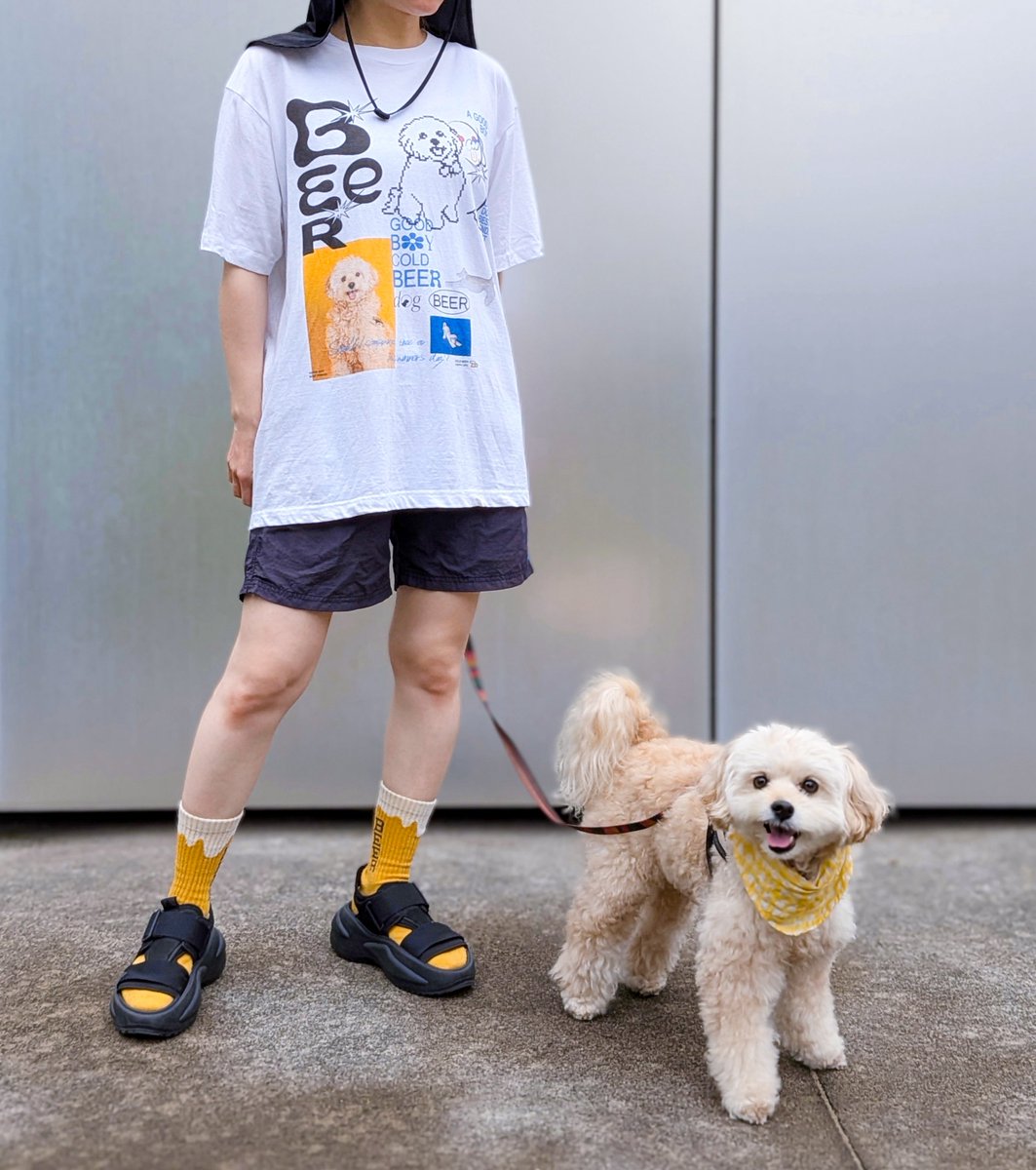 inu_beer's tweet photo. お、新作ですか？と近所の皆んなに笑ってもらいながら、本気で可愛い親バカ愛犬Tシャツを作り続けている https://t.co/zgziEm4tGc