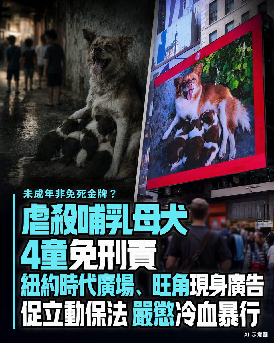 香港/中國新聞-小豬 tweet media