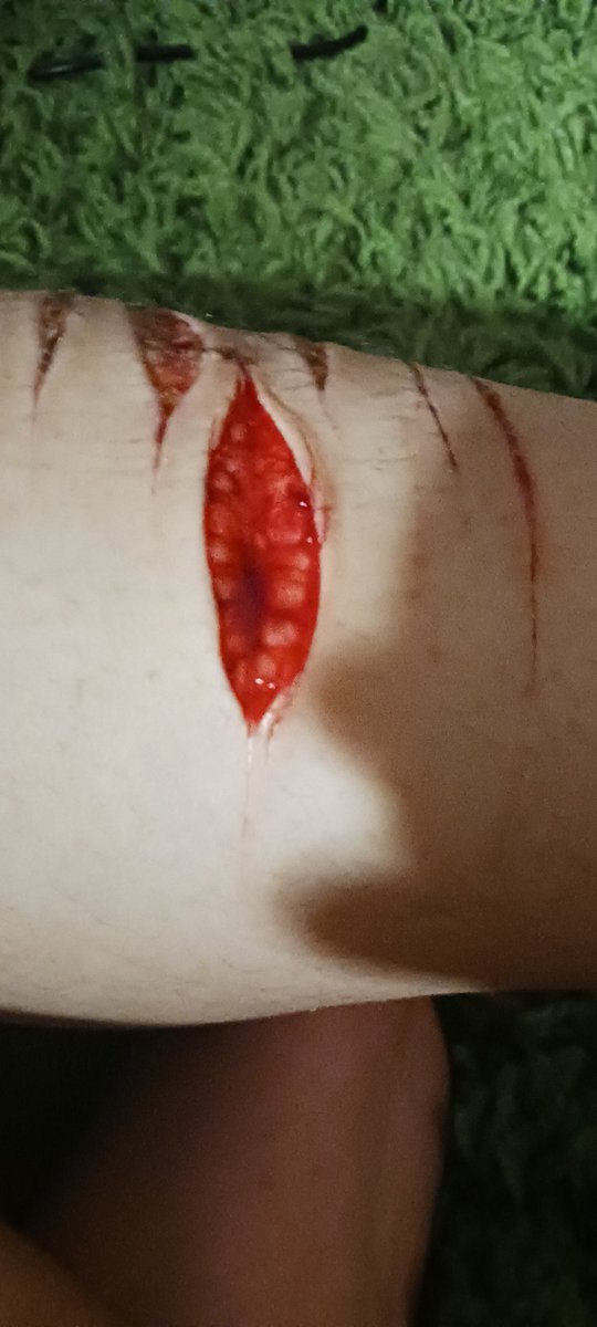 mangoling0's tweet photo. Oh hi there. https://t.co/kQc4TNbtDd