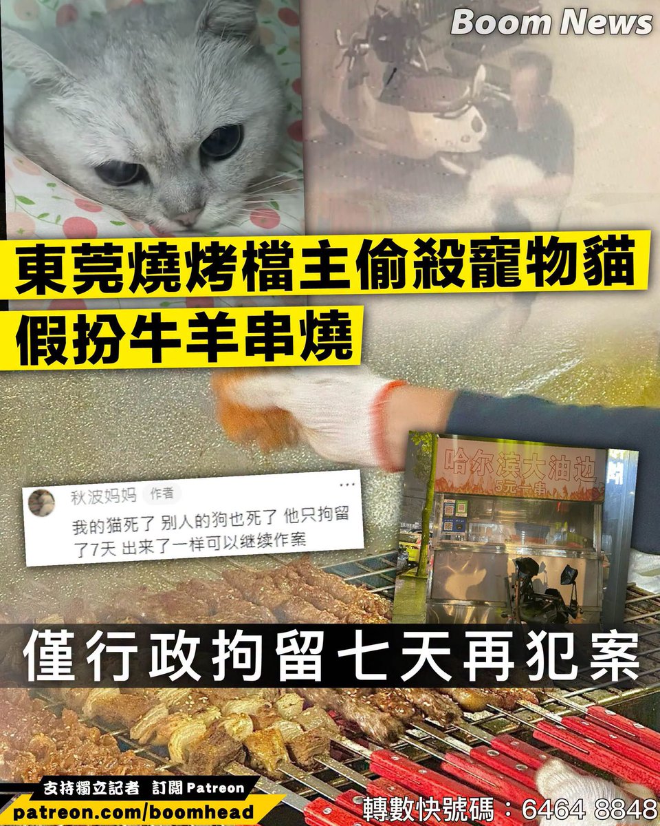 香港/中國新聞-小豬 tweet media