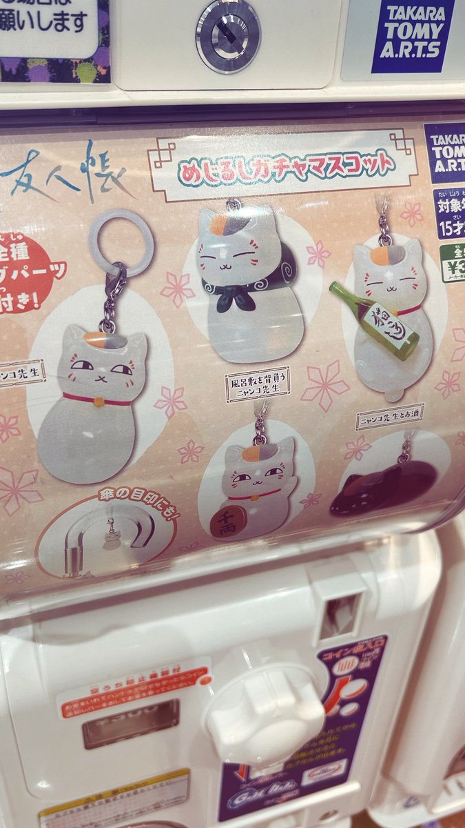 s2risatam's tweet photo. ついに見つけた🥹🫶🏻🐱 https://t.co/EBNW3jcypP