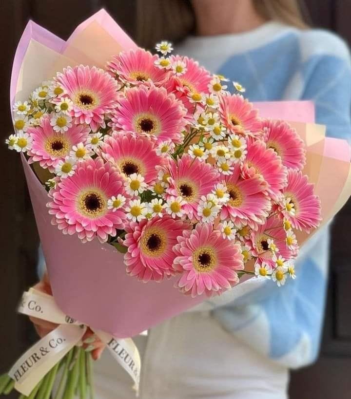 F L O W E R S🍀🌸 tweet media