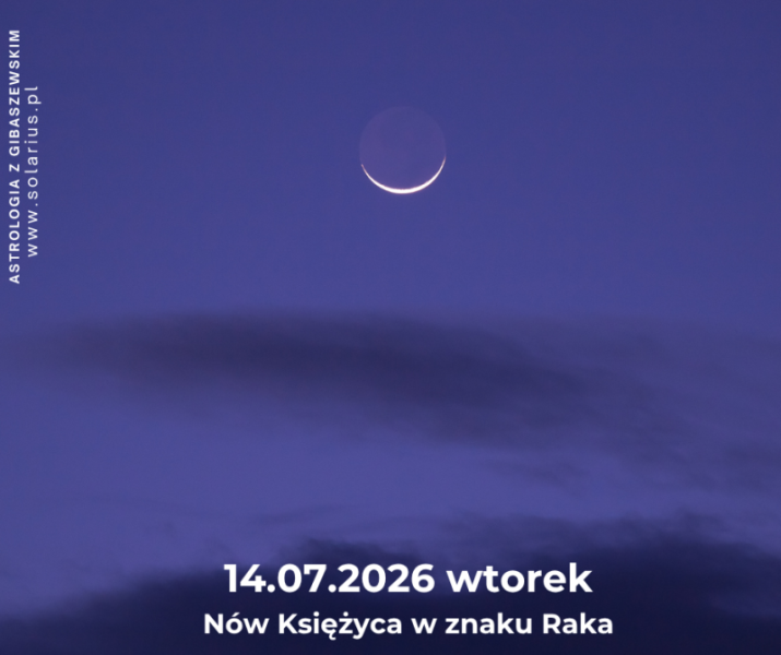 Piotr Gibaszewski tweet media