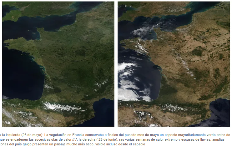 Troposfera's tweet photo. Las imágenes de satélite muestran cómo las  sucesivas olas de calor y la escasez de precipitaciones secaron buena  parte de la vegetación francesa entre finales de mayo y finales de junio
https://t.co/PFItKJLUG8 https://t.co/W9bsamNbGq