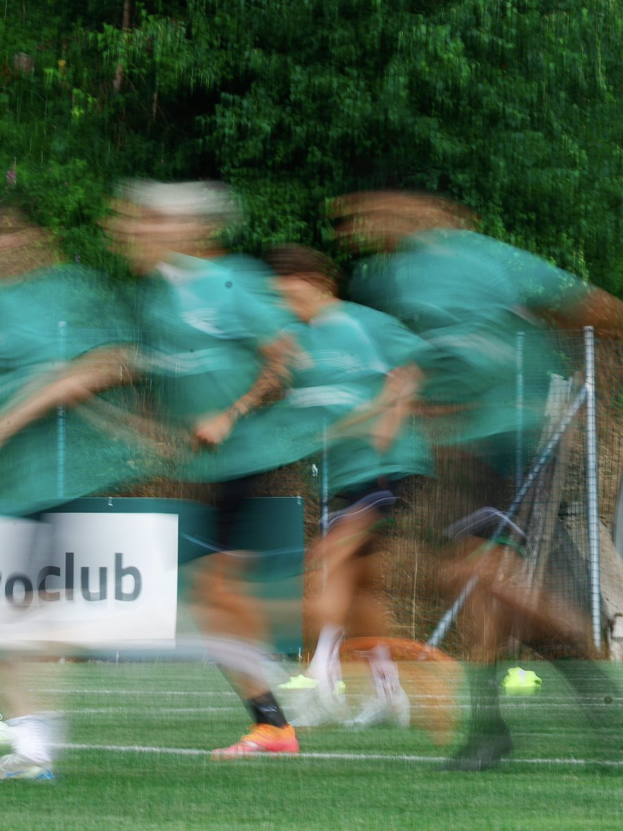SassuoloUS's tweet photo. ⚽️🏞️

#ForzaSasol 🖤💚 https://t.co/JcrmnHkhtq