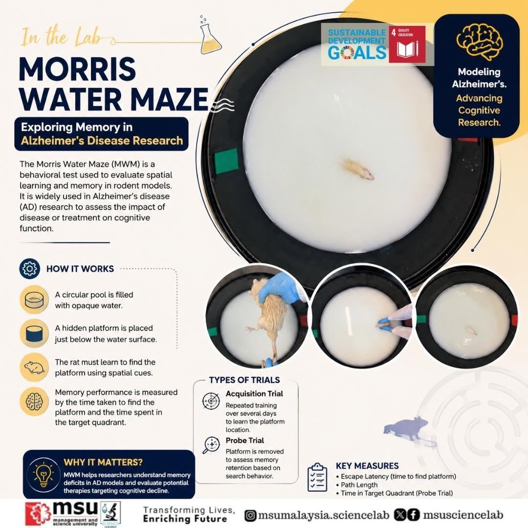 dihexa morris water maze Task The Morris Water Maze