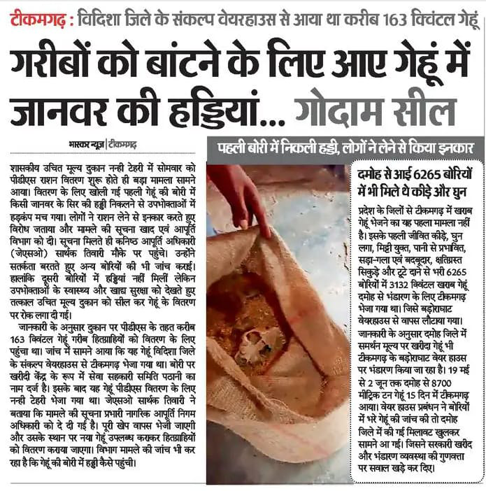 INCMP's tweet photo. गरीब का गेहूं है, तो क्या सरकार की जिम्मेदारी नहीं बनती?

टीकमगढ़ में गरीबों को बांटने के लिए आए गेहूं में जानवर की हड्डी निकल गई!
पहले भी कीड़े लगे खराब गेहूं बाँटे जाने की शिकायतें आ चुकी है!
मोहन सरकार को गरीब की चिंता है ना अन्न को सहेजने की! https://t.co/DkkmimDRM2