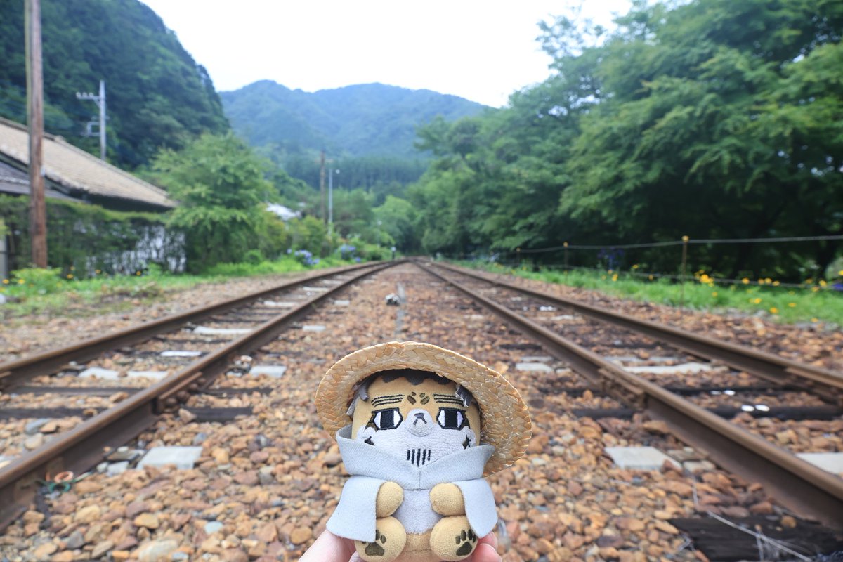 fourzeo_life's tweet photo. フォゼ尾と旅行😊
#フォゼ尾といっしょ https://t.co/0QP776n9zo