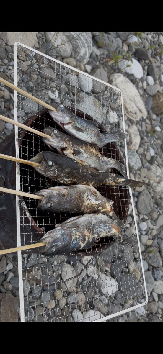 remon_7783's tweet photo. やっぱり釣りは最高に楽しい🎣
今度は海で釣りをしたい。 https://t.co/vVRvJQX3Jq