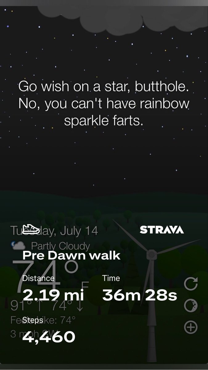 Floridaboiler's tweet photo. #awalkaday keeps the #cabinfever away #walkchat #whattheforecast #wtforecast https://t.co/X7HOHFIlnT