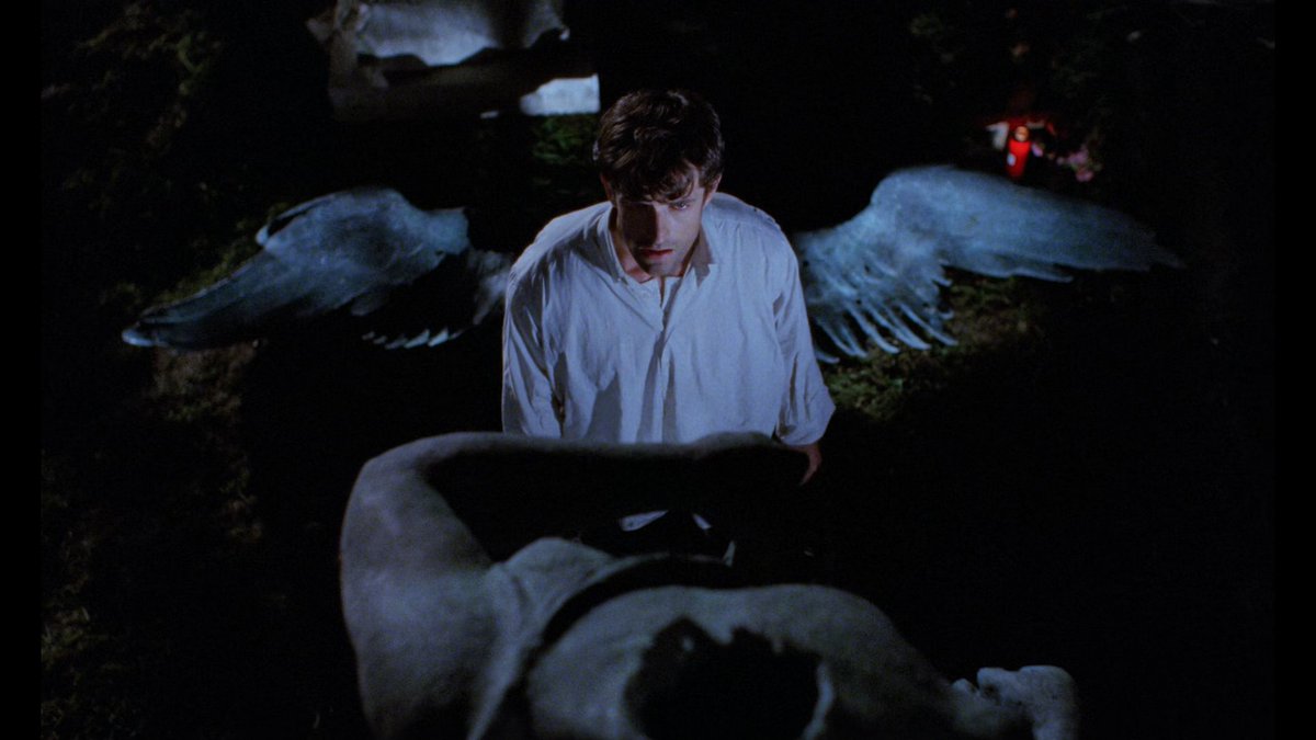 its_megh's tweet photo. A horror comedy about a sombre character can never go wrong. Cemetery Man has different tones in different parts of the film; the only thing consistent is the madness inside our protagonist. One of the better horror films I have ever seen.

Cemetery Man (1994)
dir. Michele Soavi https://t.co/KJZa1IAf4t