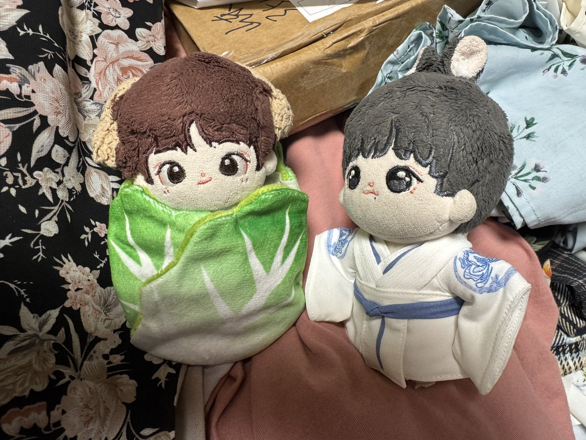 akihiro2005's tweet photo. 噂の白菜おくるみを買ったw
白菜だー🥬 https://t.co/VOqFD0cw02