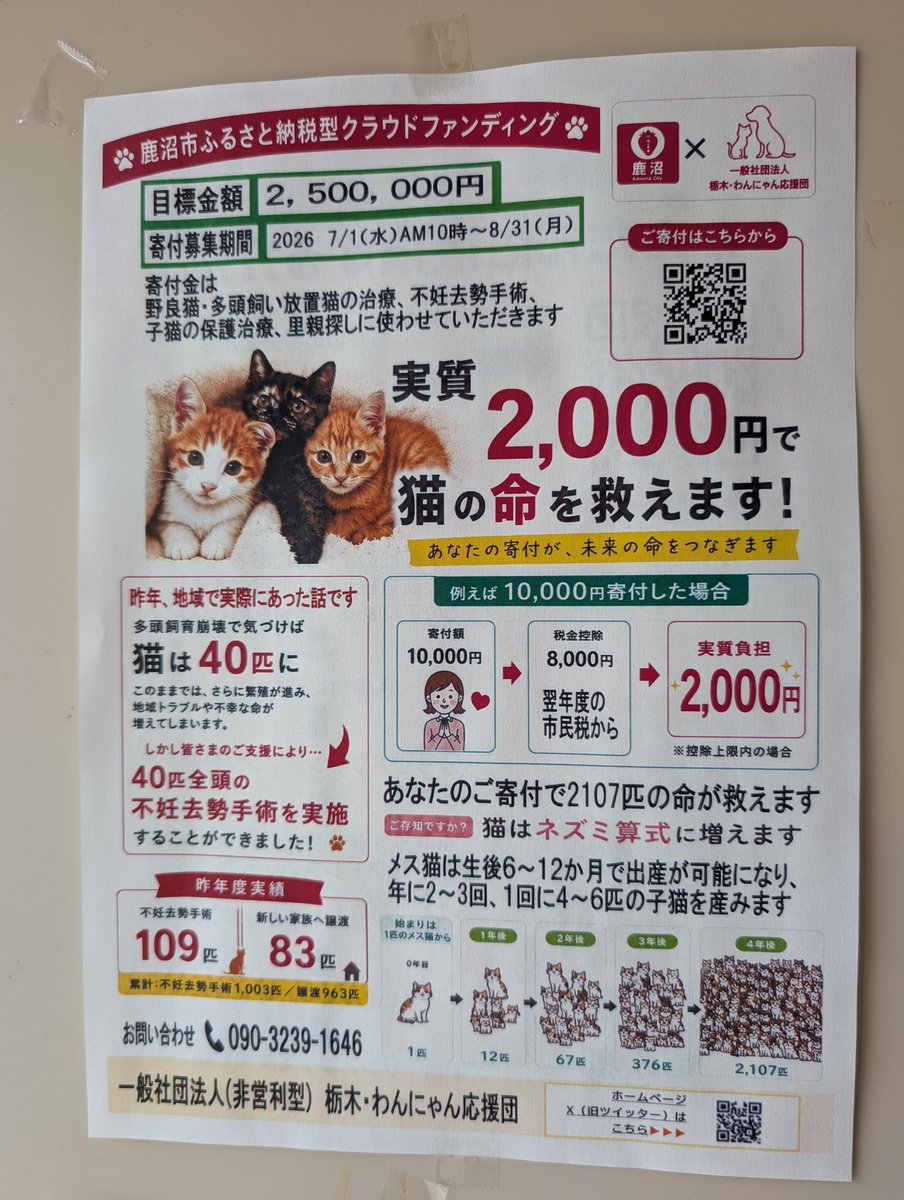 msakazum's tweet photo. 8月1日、獣医師佐藤朝子先生による猫の適正飼養の講義と、猫に関する質疑応答の時間もあります。是非参加してください👌今年もふるさと納税ガバメントクラウドファンディング寄付金受付中です。よろしくご支援お願いします🙏
#ふるさと納税で支援
#皆でＴＮＲ活動
#野良猫から地域猫へ
#鹿沼市 https://t.co/HYbThZ9xi7